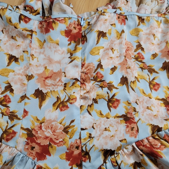 Cider Floral Zip Up Corset Dress - Picture 7 of 7